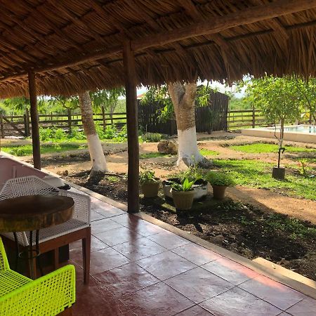 Hotel Amor Panaba Progreso  Bagian luar foto